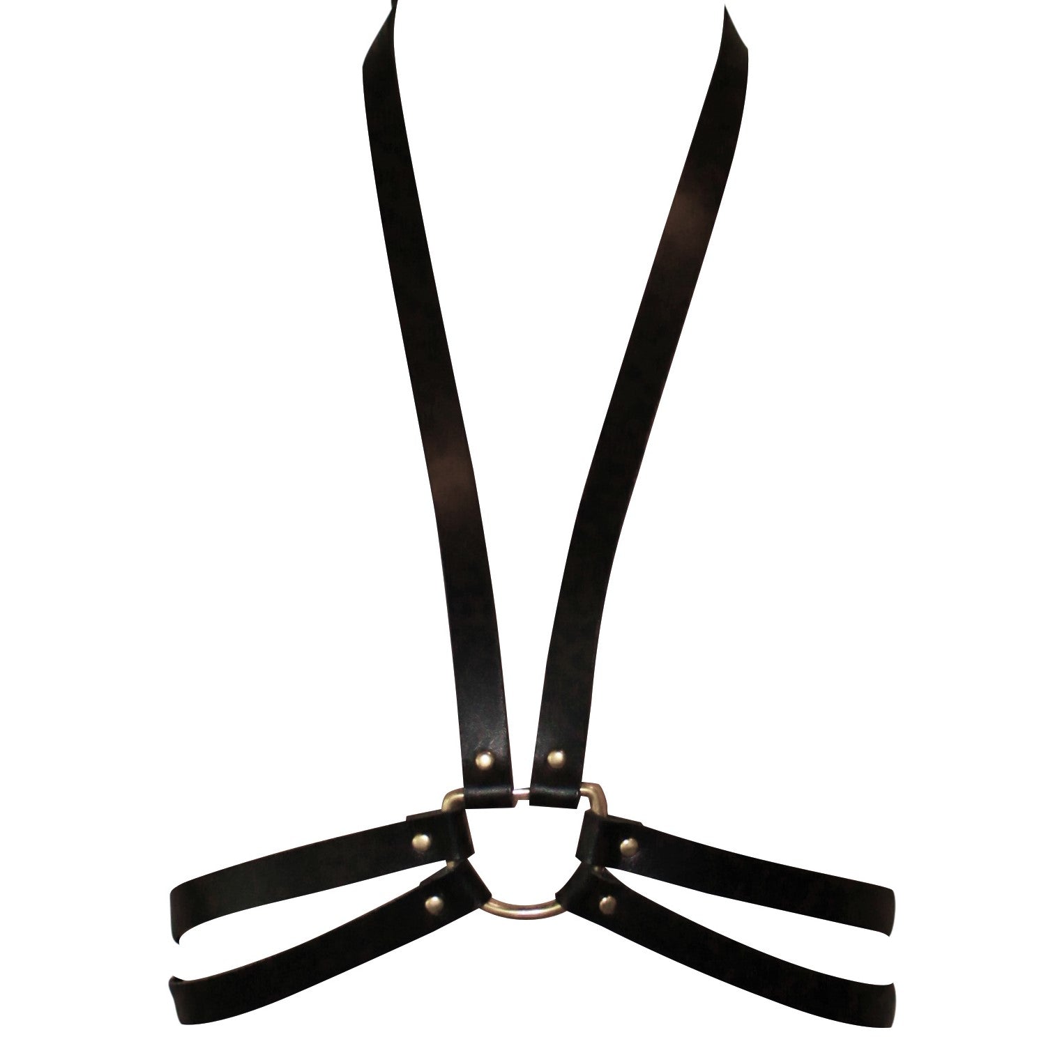Leather Harness | Dual Strap | Gold